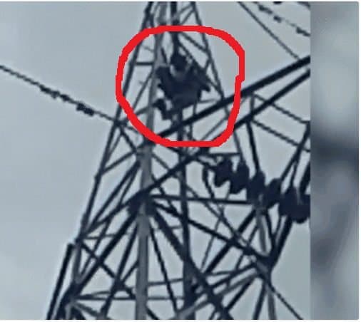 पटना में बच्चे का सिर काट फिर कटे सिर को लेकर चढ़ा हाईटेंशन टावर पर