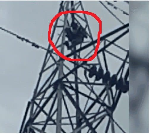 पटना में बच्चे का सिर काट फिर कटे सिर को लेकर चढ़ा हाईटेंशन टावर पर