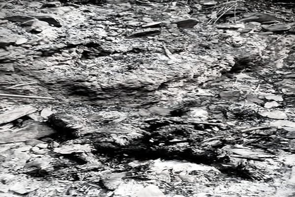 रांची: ठाकुरगांव में महिला और दो बच्चों का जला शव बरामद