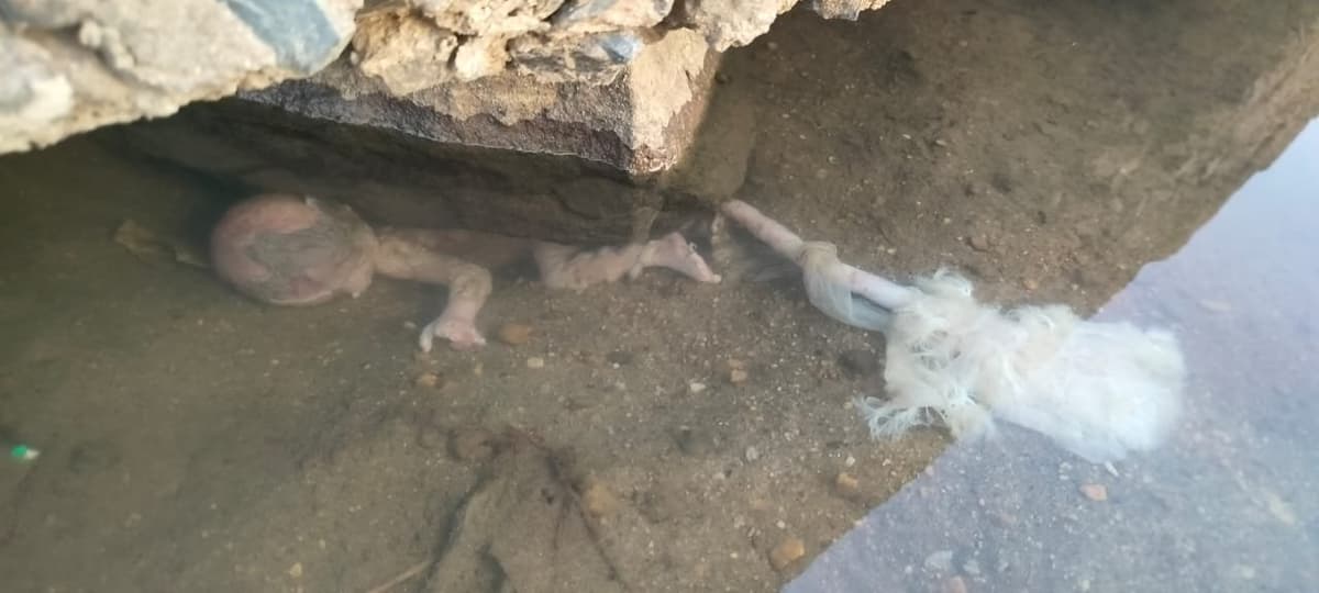 मां… मेरा क्या था कसूर