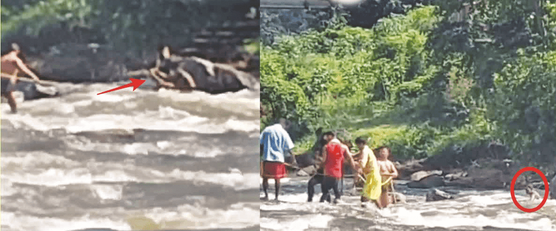 पटना से पूजा करने रजरप्पा आये दो युवक भैरवी नदी में बहे, बच गयी जान