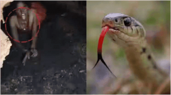 गुफा में लड़की, नागिन जैसी हरकत, रहस्यमयी घटना, लड़की लापता, तीन महीने से गायब, झारखंड समाचार, वायरल वीडियो, अंधविश्वास की कहानी, सावन का रहस्य, नागिन बनी लड़की, girl in cave, snake-like girl, missing girl, viral video, creepy news, mysterious cave story, shocking incident, serpent behavior, possession news, weird viral video, gufa me ladki, nagin jaisi harkat, ladki ban gayi nagin, 3 months missing, viral cave video, jharkhand girl news, creepy viral girl, savan ka chamatkar, trending weird story, desi nagin real life, gandiv, gandiv live, gandivlive, birsa ka gandiv, aaditya hriday,