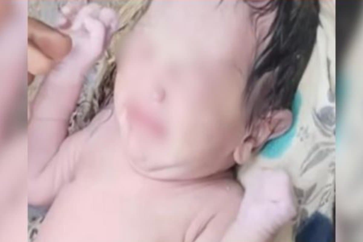 abandoned newborn chaibasa, chakradharpur baby in bushes, kiapta village newborn rescue, chaibasa social worker saves baby, jharkhand newborn baby incident, समाजसेवी ने बचाई बच्ची, झारखंड में नवजात को फेंका
