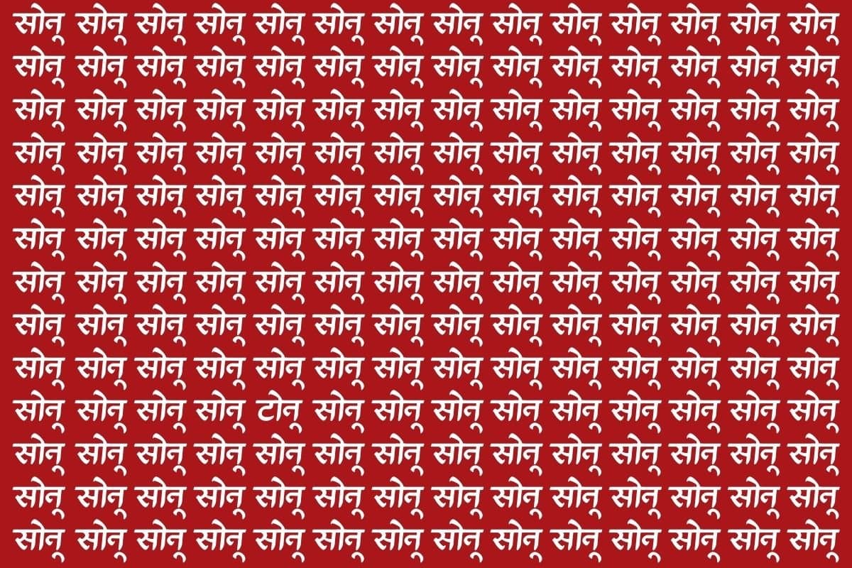 पहेलियों के बाजीगर ही सिर्फ ढूंढ पाएंगे इस फोटो में टोनू, 10 सेकंड के अंदर खोजने का है चैलेंज