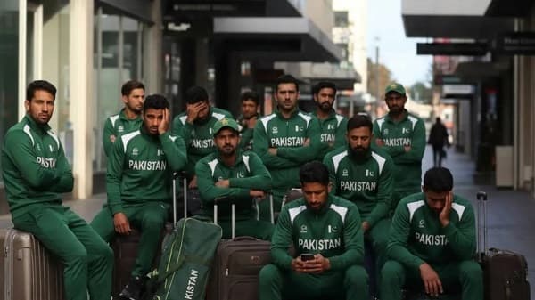 img-fluid