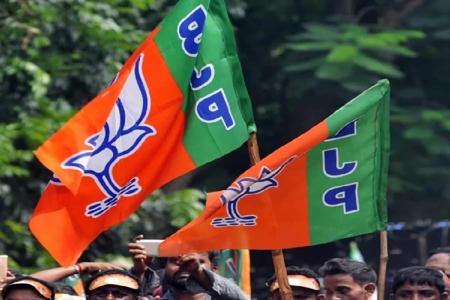 bjp_flag7.jpg