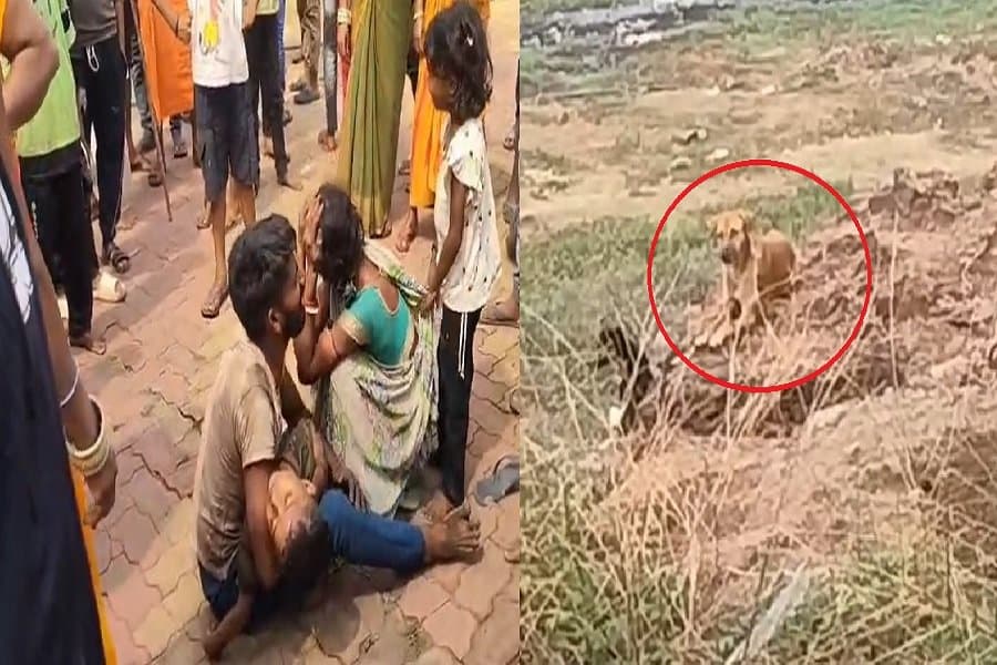 धनबाद में 5 वर्षीय बच्चे को आवारा कुत्तों ने मारा, दुखद घटना