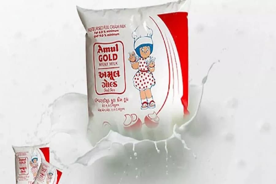 AMUL0030.jpg