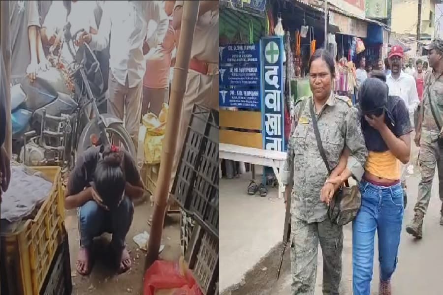 कोतो31.jpg