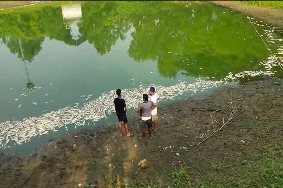 िगेप.jpg