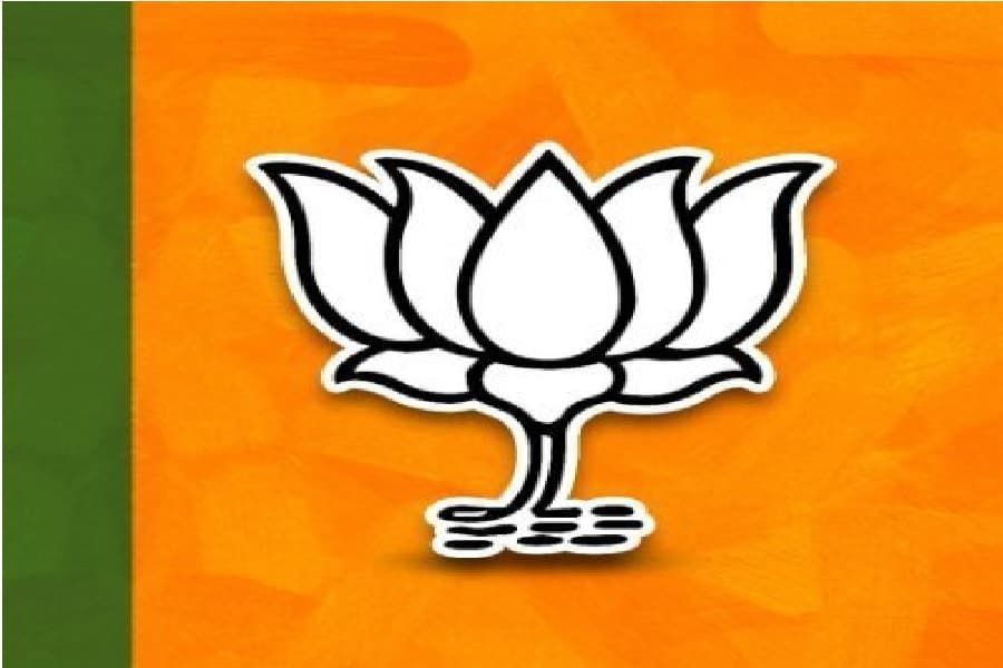BJP122.jpg