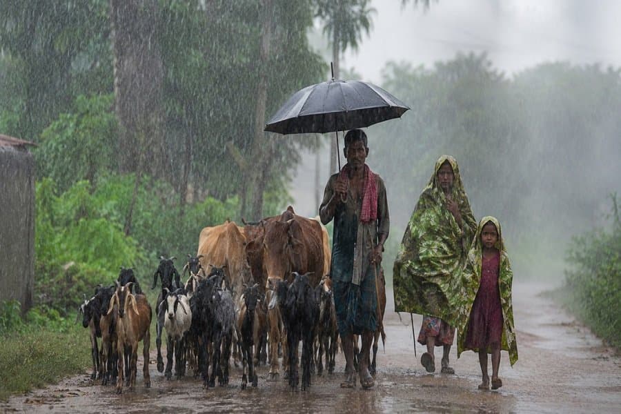 RAIN271.jpg