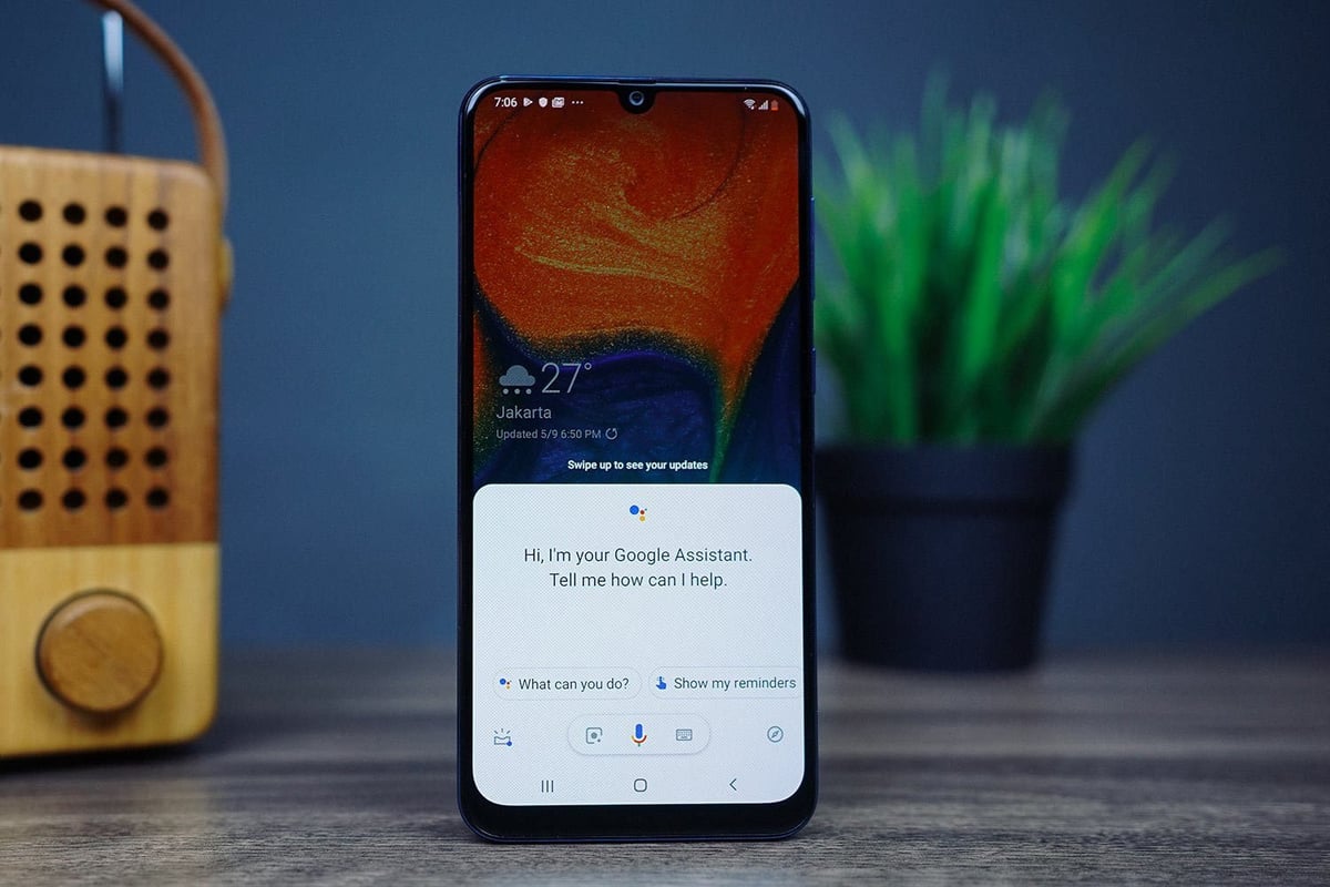 Which music services are supported on Google Assistant and the Google Nest speakers?