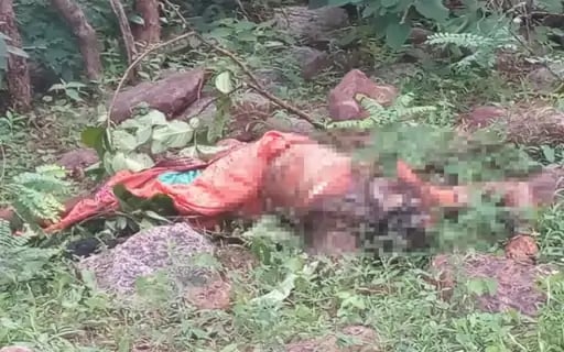 सूखी लकड़ी चुनने गयी महिला का आईई़डी की चपेट में आने से हुई मौत
