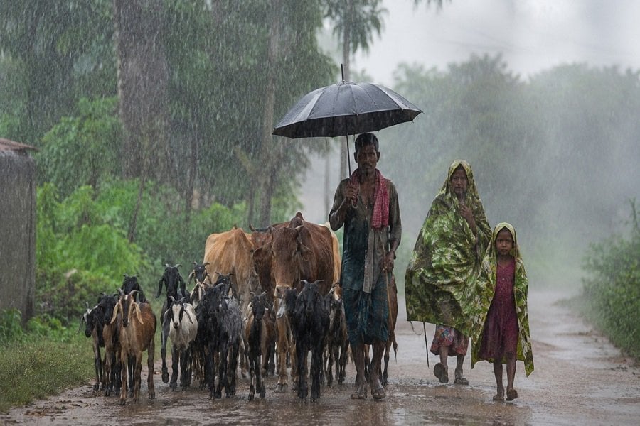RAIN271.jpg