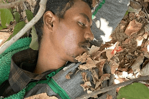 चतरा : पुलिस और नक्सलियों के बीच मुठभेड़,एक नक्सली मारा गया