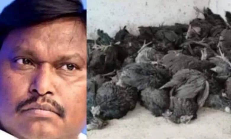 अर्जुन मुंडा के रांची आवास में आधा दर्जन से अधिक मुर्गियां मरी,ब्लड फ्लू की पुष्टि