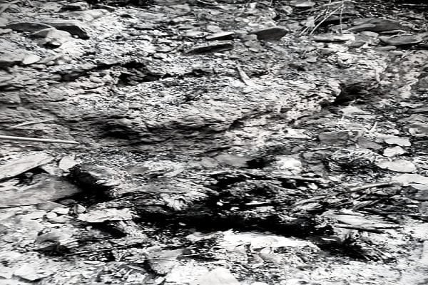 रांची: ठाकुरगांव में महिला और दो बच्चों का जला शव बरामद