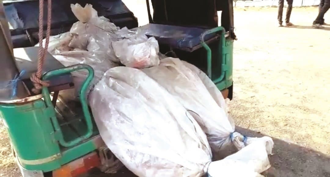 चंदवा में ईट भट्टा में सो रहे पति-पत्नी और बच्चें को हाथियों ने मार डाला