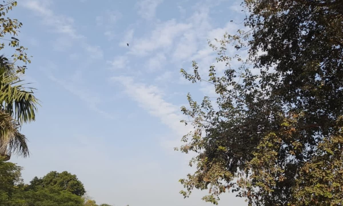 रांची और झारखंड के अन्य हिस्सों में रहेगा सुखा मौसम, सुबह हल्की धुंध संभव।