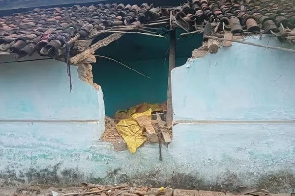 जंगली हाथी