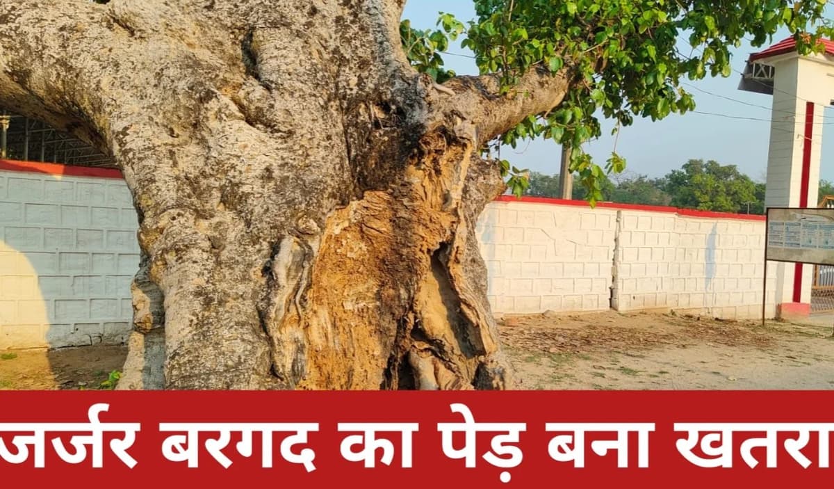 जर्जर बरगद का पेड़ बनी खतरा, प्रशासन की अनदेखी से हादसा संभव » रांची समाचार