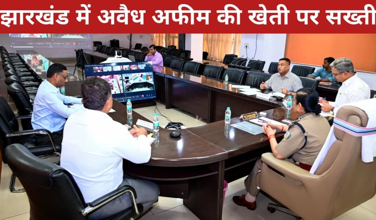 झारखंड में अवैध अफीम खेती पर कार्रवाई, डीजीपी ने की समीक्षा बैठक