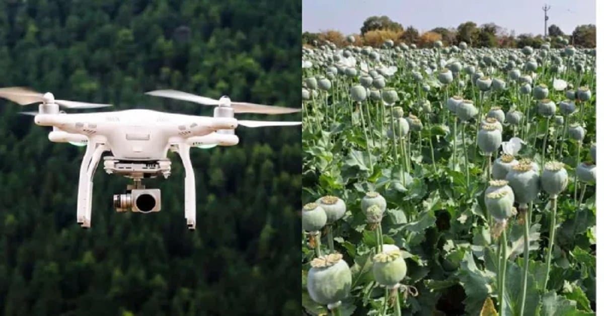 छात्रा समाचार: अफीम खेती पर निगरानी के लिए चतरा प्रशासन ड्रोन का करेगा उपयोग, नेटवर्क समाप्त करेगा।