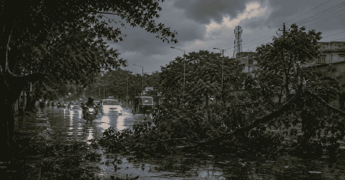 Jamshedpur Health News: जमशेदपुर में बारिश का असर, लौह नगरी में बढ़ा डेंगू का खतरा, स्वास्थ्य विभाग ने किया अलर्ट
