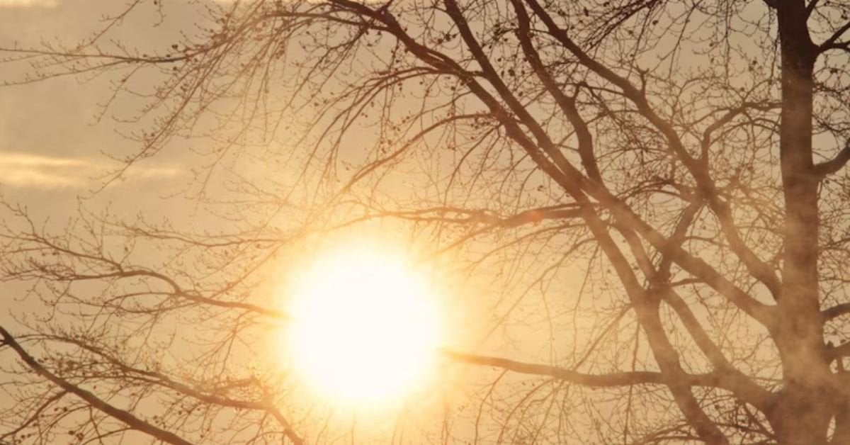Jharkhand Weather : झारखंड में मौसम का डबल अटैक, कहीं भीषण लू तो कहीं बारिश-आंधी का अलर्ट