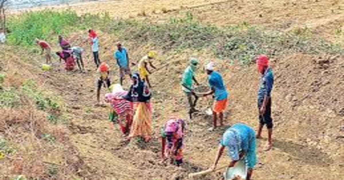 MNREGA : मनरेगा कर्मियों को मिलेगा सरकारी सैलरी पैकेज का लाभ, ग्रामीण विकास विभाग ने सभी डीसी और डीडीसी को लिखा पत्र