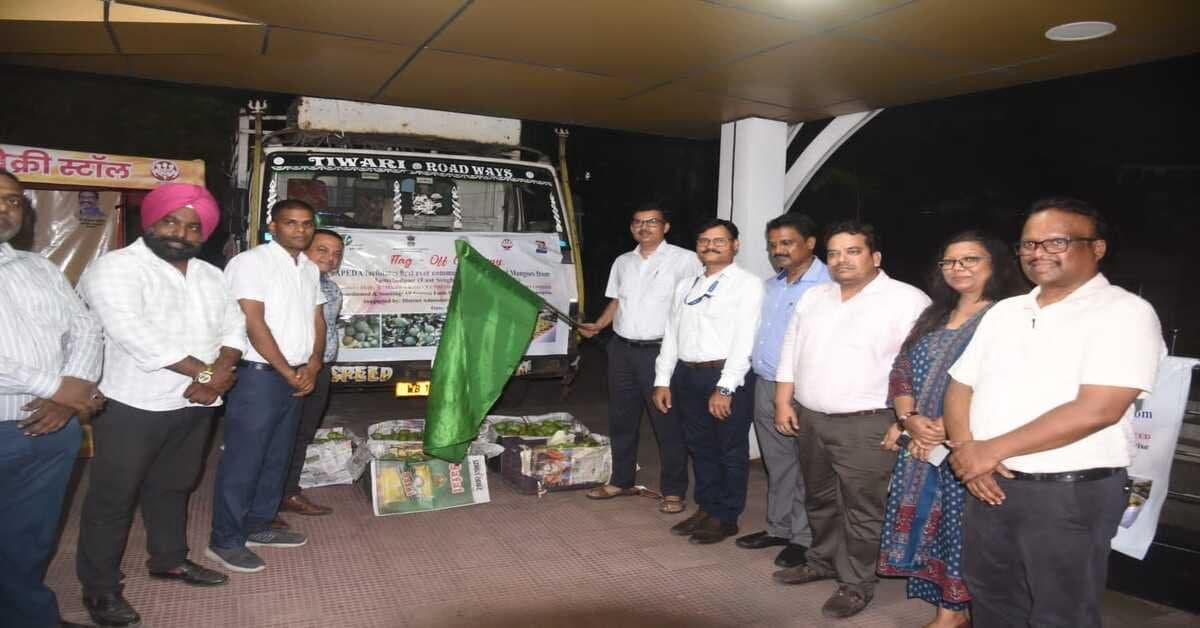 जमशेदपुर के आम अंतरराष्ट्रीय बाजार में, लंदन के लिए पहली खेप भेजी गई।