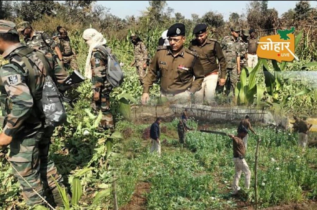 झारखंड: नशे के खिलाफ कार्रवाई; ढाई साल में 2627 गिरफ्तार, 1941 मामले हुए दर्ज।