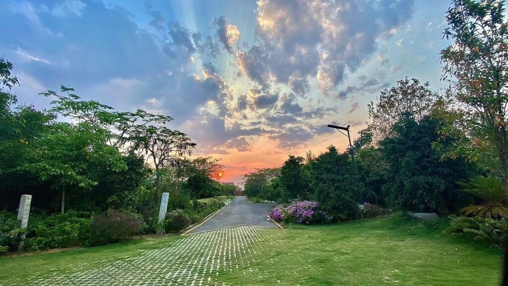 35273 16539948579925 1920