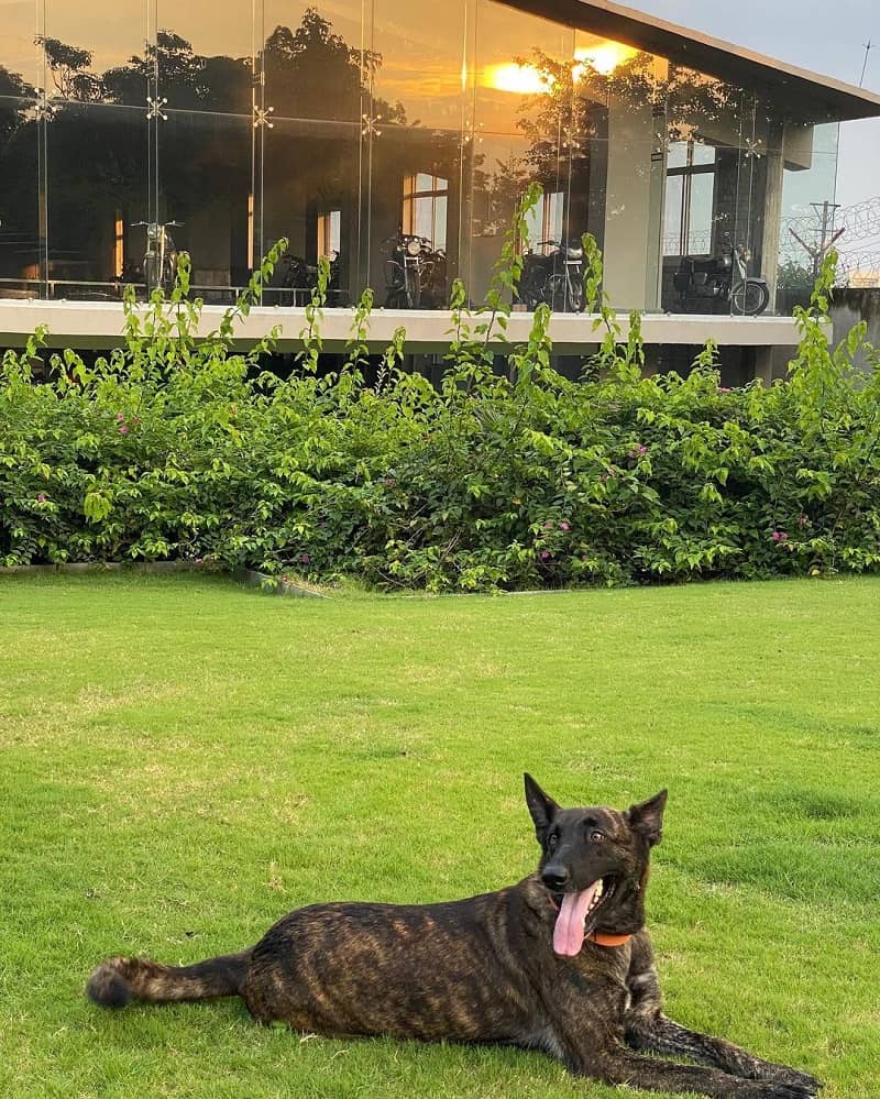 MS Dhoni Farmhouse Pictures Ranchi