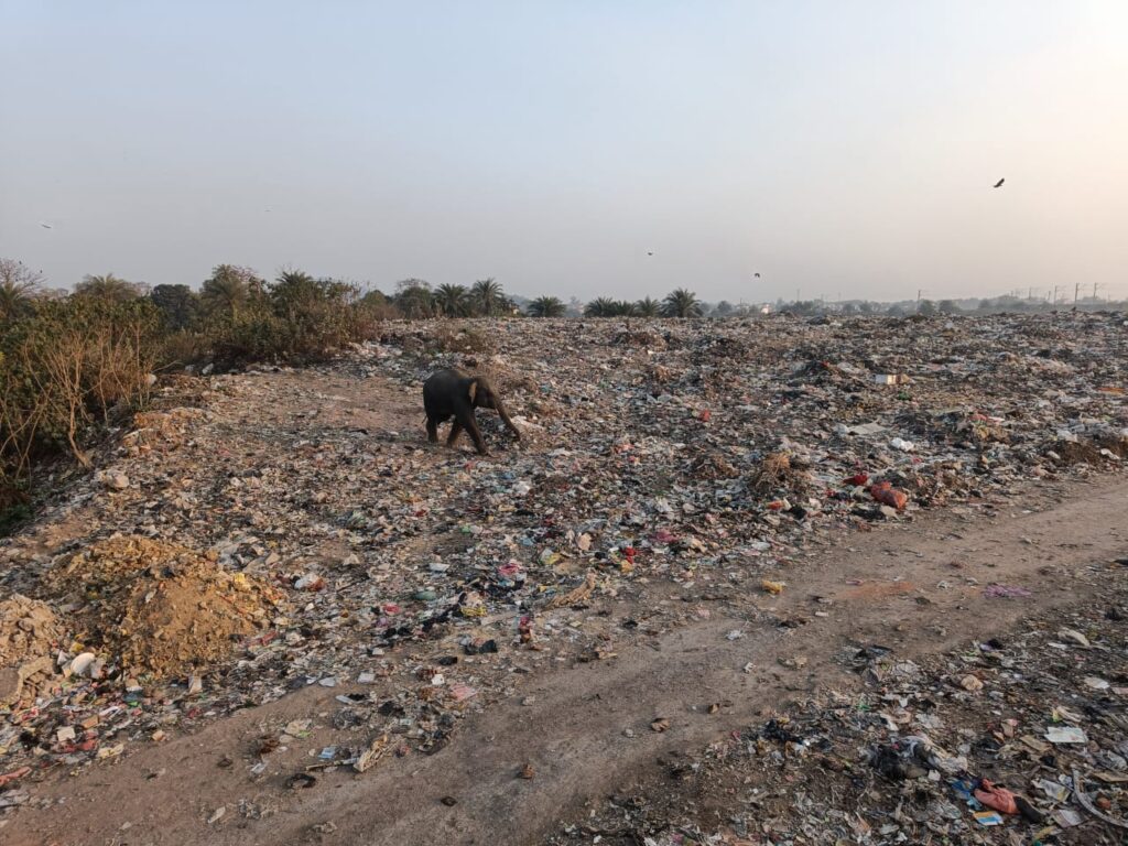 WhatsApp Image 2023 02 08 at 18.12.39