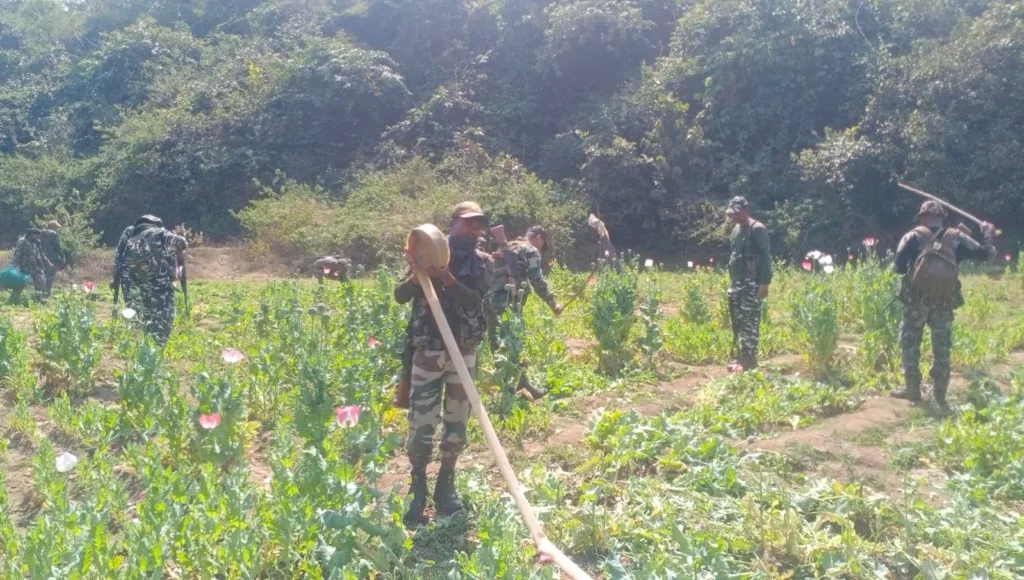 WhatsApp Image 2023 02 25 at 8.06.03 AM 1