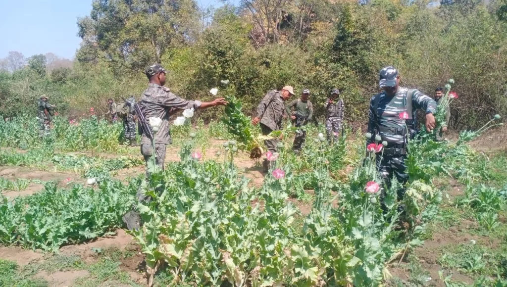 WhatsApp Image 2023 02 25 at 8.06.04 AM