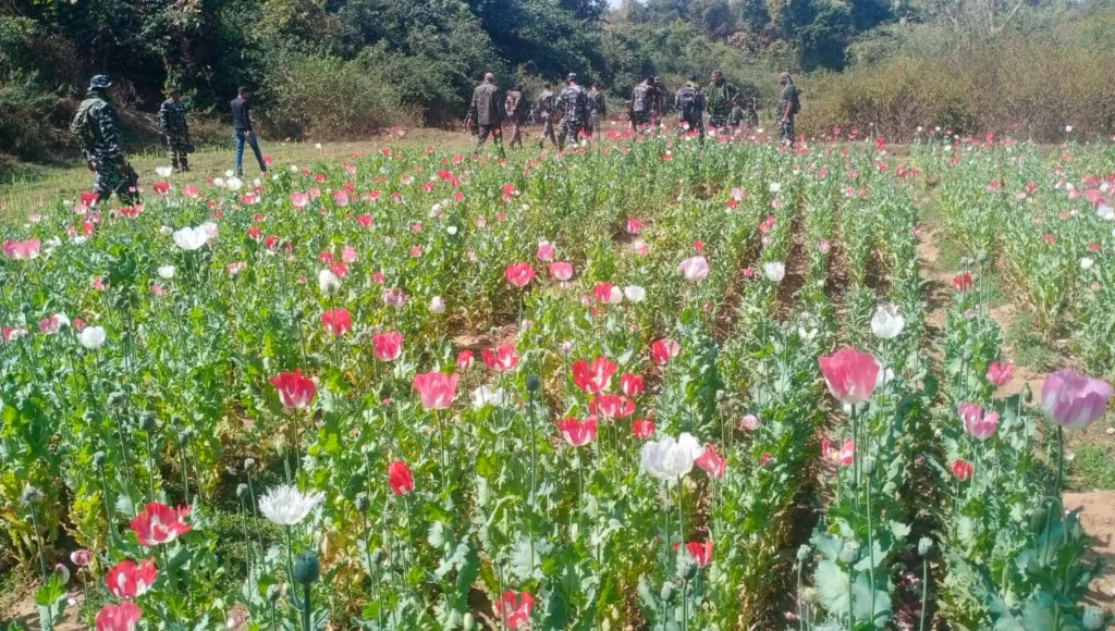 WhatsApp Image 2023 02 25 at 8.06.06 AM