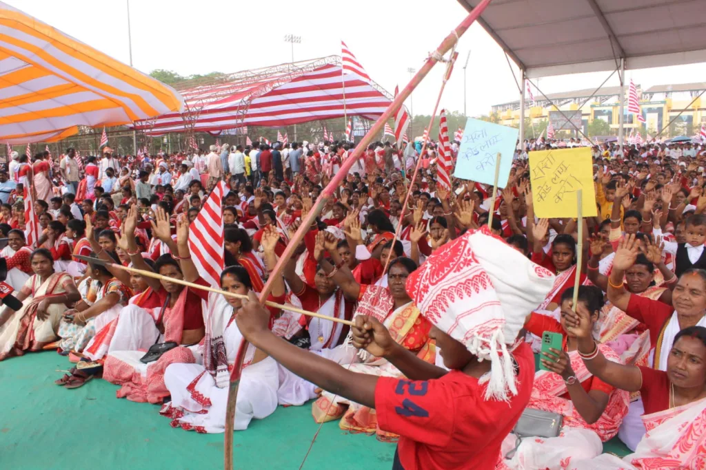 WhatsApp Image 2023 03 12 at 13.47.17