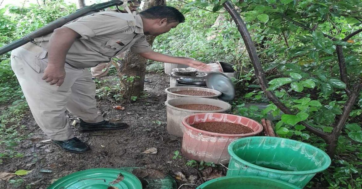 Jamshedpur News: घाटशिला में अवैध शराब की पांच भट्ठियां की गईं ध्वस्त, शराब ज़ब्त कर उत्पाद विभाग ने पांच लोगों पर की FIR