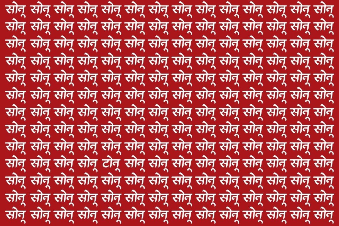 पहेलियों के बाजीगर ही सिर्फ ढूंढ पाएंगे इस फोटो में टोनू, 10 सेकंड के अंदर खोजने का है चैलेंज