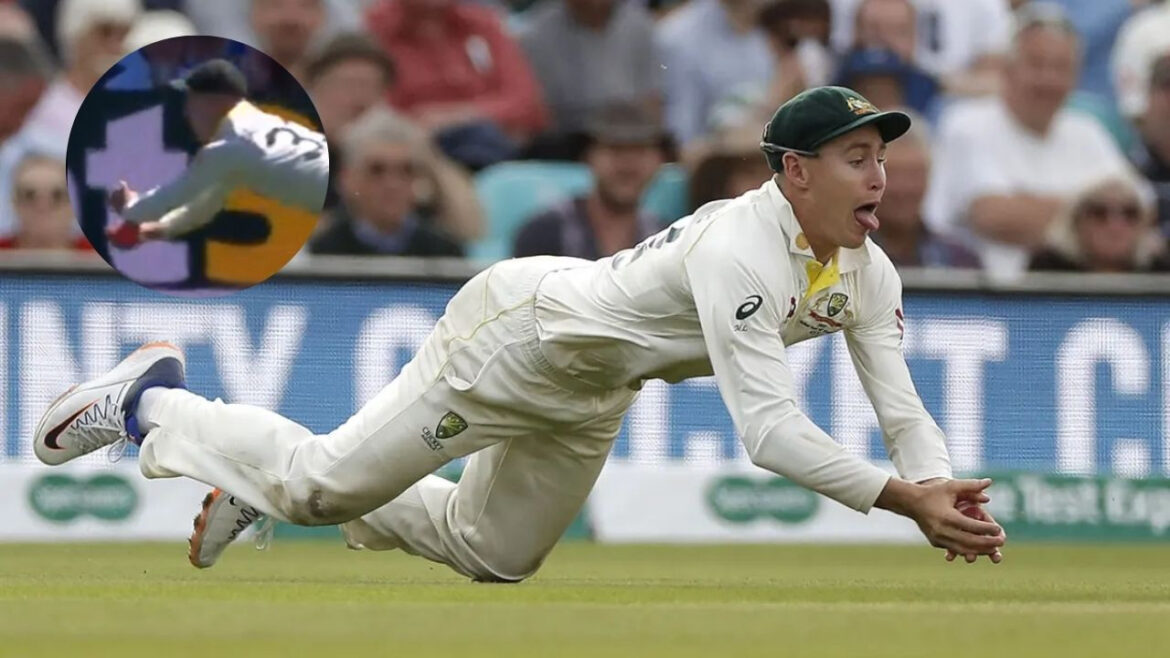 Ashes 2025: हवा में बाज की तरह उड़ते हुए नजर आए मार्नस लाबुशेन, वीडियो में देखें कैसे लपका अद्भुद कैच | ashes 2025 Marnus Labuschagne takes stunner catch of jofra archer watch video