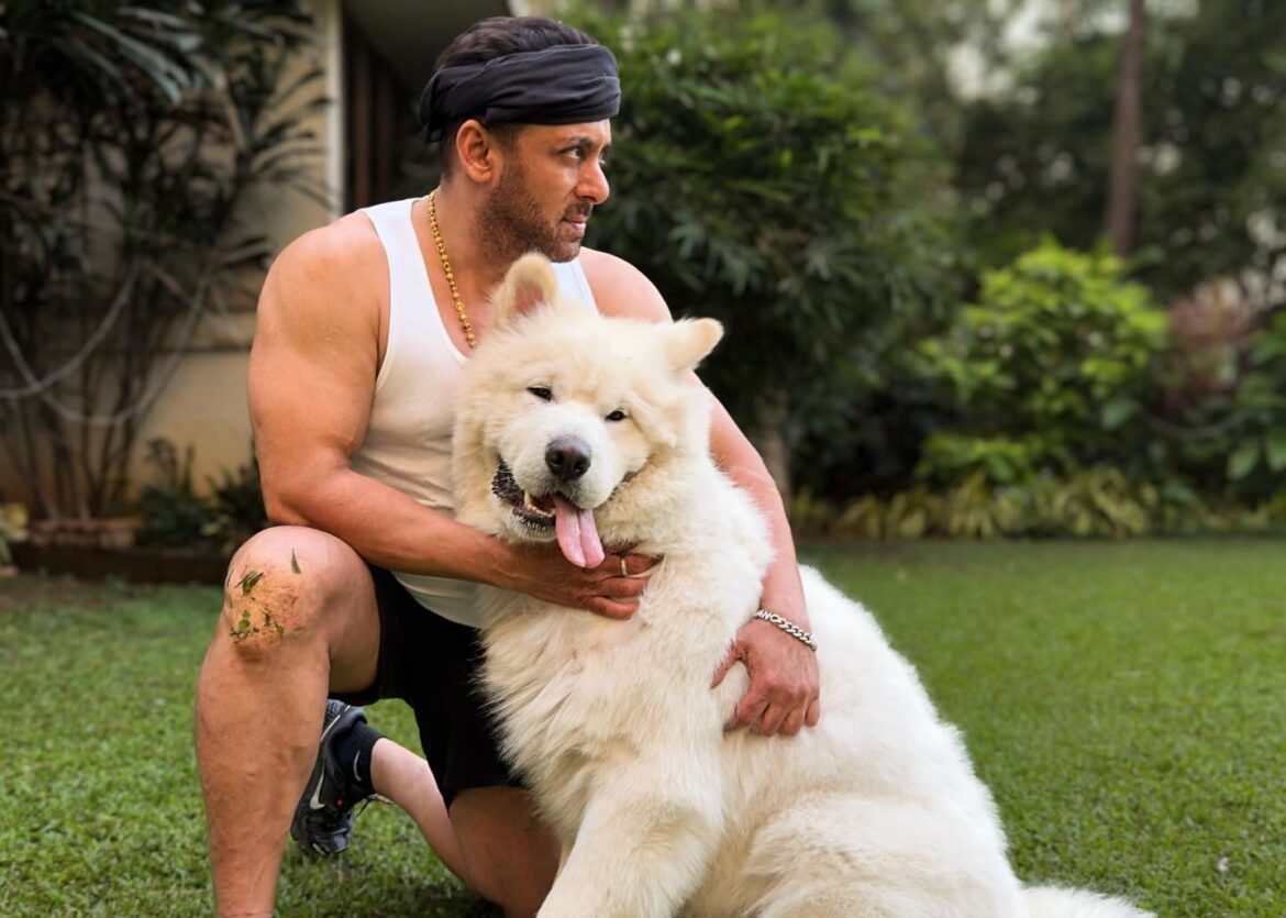 Salman Khan के घर में आया नन्हा मेहमान, पापा बने दबंग खान। फोटो शेयर कर दिखाई झलक।