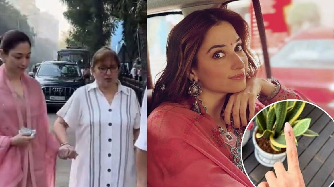 Mumbai BMC Elections 2026: तमन्ना भाटिया माता-पिता के साथ वोट डालने पहुंचीं, जॉन अब्राहम, सुनील शेट्टी, सलीम खान समेत कई सितारे हुए स्पॉट | Mumbai BMC Elections 2026 Tamannaah Bhatia arrived with her parents many stars including John Abraham Sunil Shetty Salim Khan were spotted