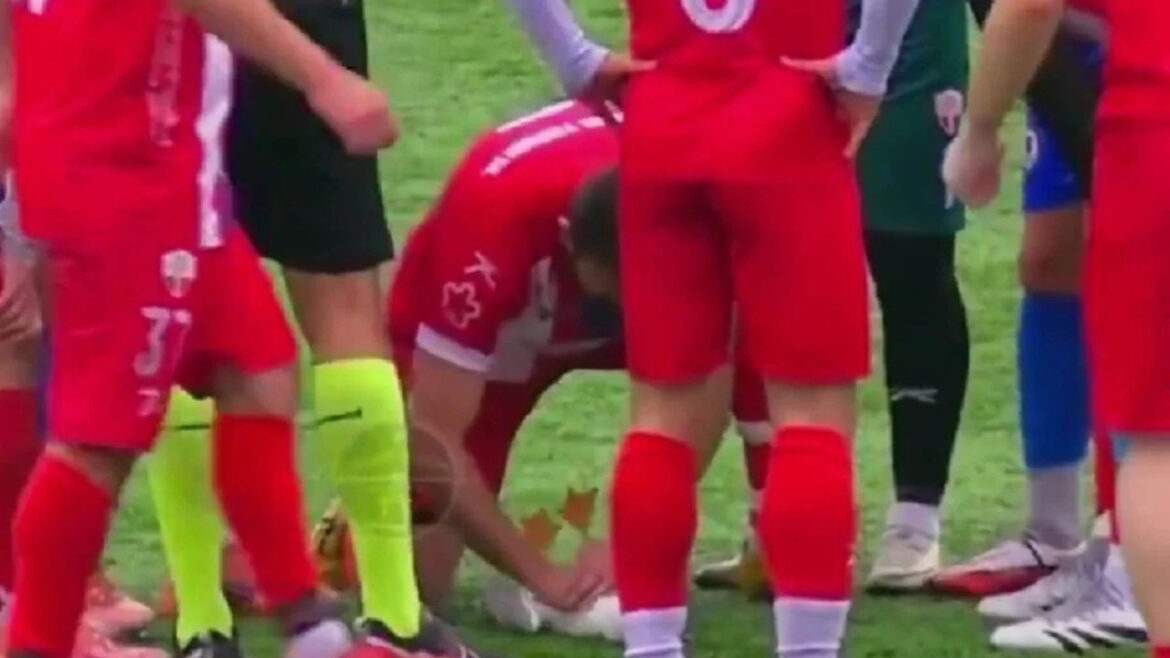 फुटबॉल मैच में लगी बेजुबान सीगल पक्षी को जानलेवा चोट, कप्तान ने CPR देकर बचाई जान, वीडियो देखकर सैल्यूट करने का करेगा मन | footballer saves injured seagull with cpr in istanbul match viral video Turkish Gani Catan