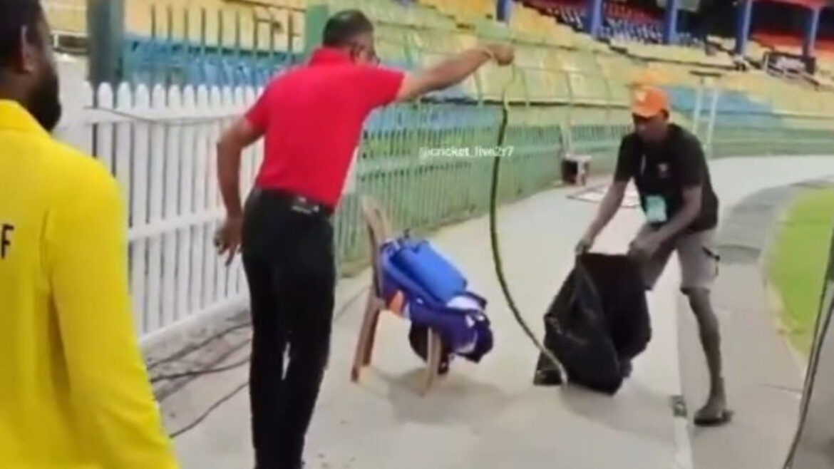 भारत से मुकाबले से पहले कांपा पाकिस्तान! वीडियो में देखें डगआउट में भयानक सांप निकलने से खिलाड़ियों में दहशत | snake found in Pakistan dugout at Premadasa Stadium in Colombo before t20 match against india video went viral