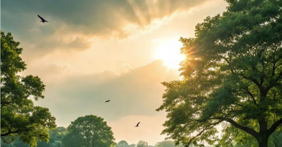 Jharkhand Weather Today : झारखंड में काले बादलों की आवाजाही, जानें किन जिलों में बारिश का अलर्ट