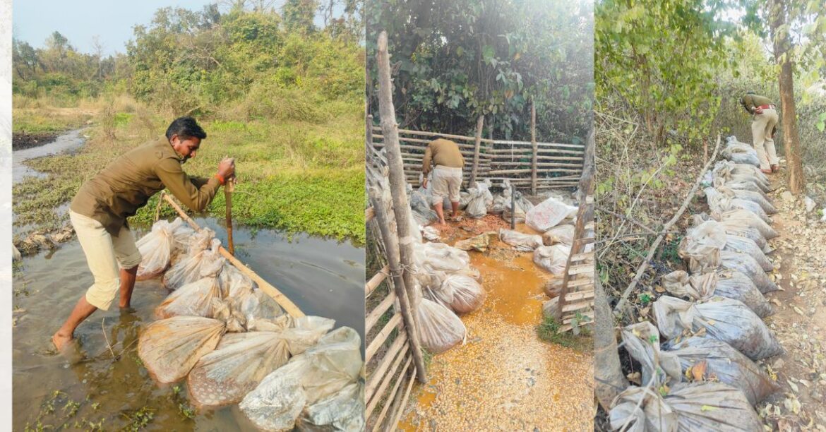 West Singhbhum Excise Raid : उत्पाद विभाग की बड़ी कार्रवाई : बंदगांव और मझगांव में देसी शराब भट्ठी ध्वस्त, भारी मात्रा में जावा महुआ नष्ट, एक संचालक फरार, एक गिरफ्तार