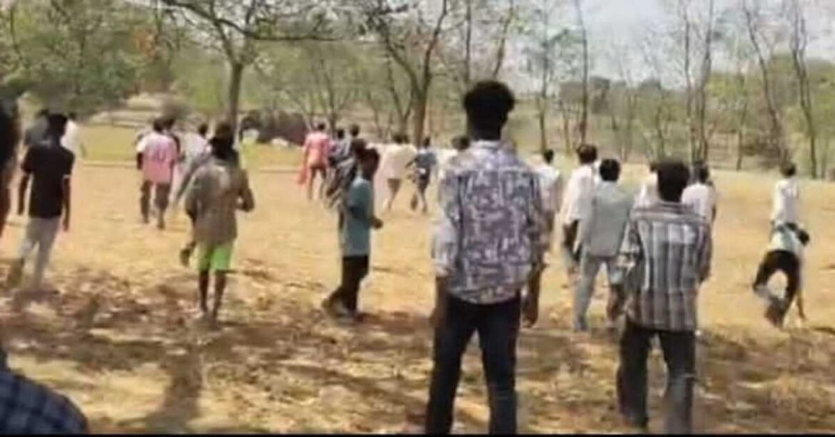 Gumla News: गुमला में आबादी में घुसा हाथी, युवक घायल, क्षेत्र में दहशत